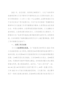 区文旅局2022年工作总结和2023年工作计划