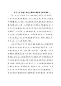 学习中央民族工作会议精神心得体会（统战部长）