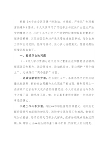 文旅行业专项教育问题检视专题会发言材料