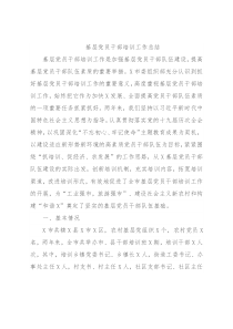 基层党员干部培训工作总结