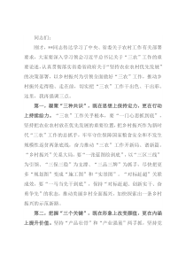 农村工作领导小组会议讲话提纲