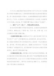 党建引领乡村振兴典型发言