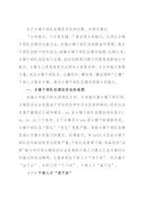 关于乡镇干部队伍建设存在的问题、对策及建议