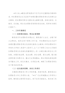 镇常态化扫黑除恶工作汇报