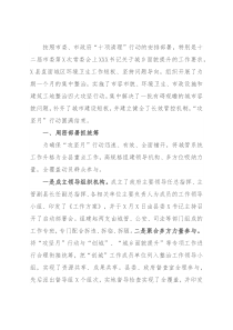 县城区环境卫生攻坚行动总结汇报