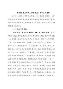 镇2022年上半年工作总结及下半年工作思路