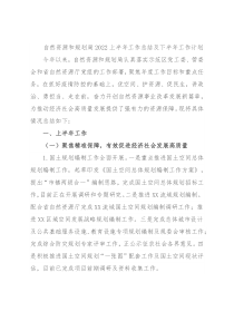 自然资源和规划局2022上半年工作总结及下半年工作计划