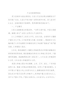 产业发展调研报告