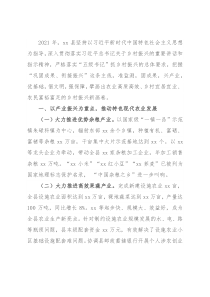 县2021推进乡村振兴战略进展情况报告