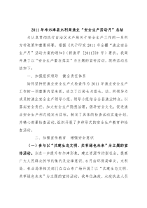 2011年布尔津县渔业安全生产活动总结