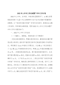 2022年上半年工作总结暨下半年工作计划