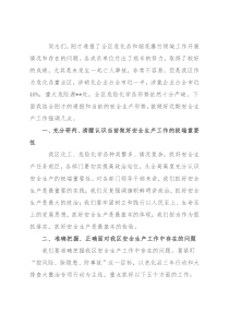 在危化品和烟花爆竹专业委员会会议上的讲话