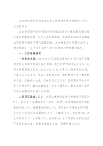 县自然资源和规划局局长在全县美丽宜居乡村建设工作会议上的发言