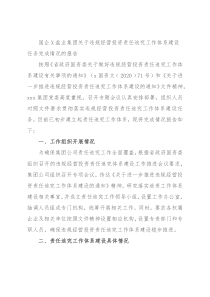 国企X盐业集团关于违规经营投资责任追究工作体系建设任务完成情况的报告