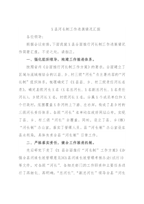 X县河长制工作进展情况汇报