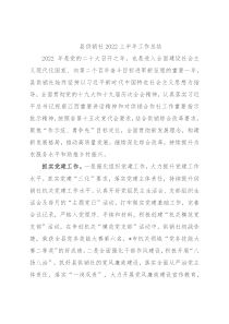 县供销社2022上半年工作总结