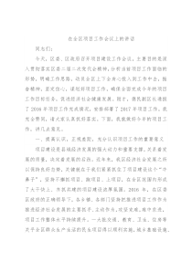 在全区项目工作会议上的讲话