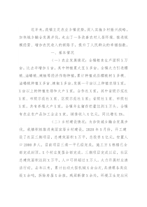 乡镇乡村振兴情况汇报