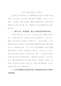 2021年镇乡村振兴工作报告