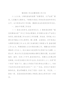 镇党建工作总结暨党建工作计划