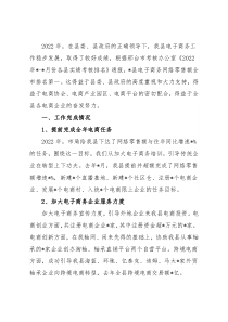 县发改局电子商务工作汇报