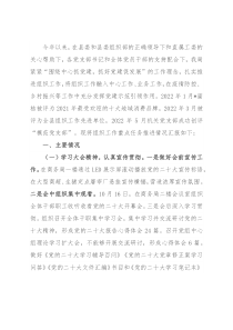 县商务局党组组织工作重点任务推进情况汇报