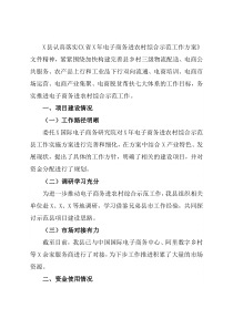 X县电子商务进农村工作汇报