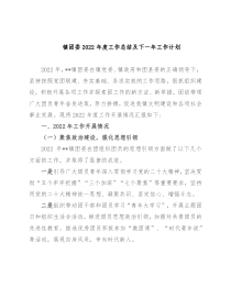 镇团委2022年度工作总结及下一年工作计划