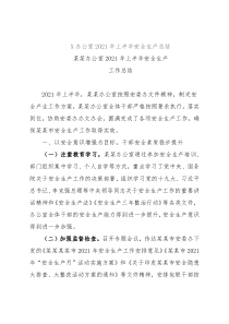 X办公室2021年上半年安全生产总结