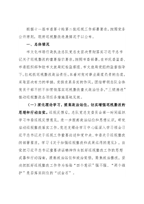 关于市委巡视整改进展情况通报