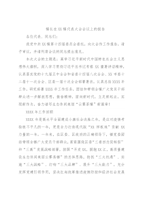 镇长在XX镇代表大会会议上的报告
