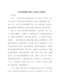 在全市财税审计统计工作会议上的讲话