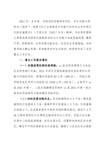 市自然资源局2021年实施乡村振兴战略进展情况报告