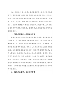县公安局2021年行政执法工作报告