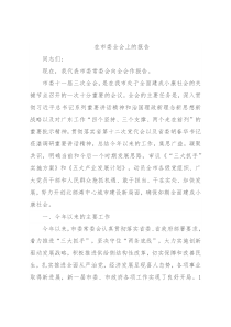 在市委全会上的报告