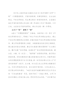 构建新型治安防控体系经验总结材料