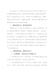 商务局安全生产专项监管情况汇报