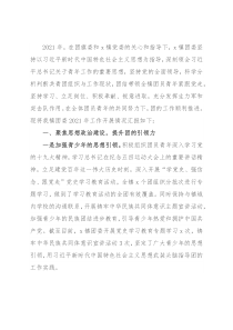 镇团委2021年工作总结