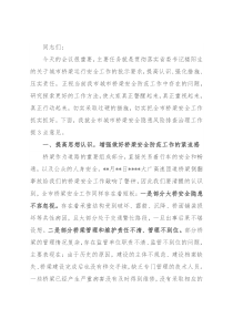 在全市城市桥梁安全隐患风险排查治理工作会议的讲话