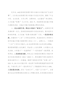 党建引领乡村振兴经验交流材料