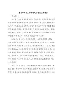 在全市审计工作电视电话会议上的讲话
