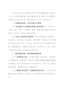 2022年上半年文化市场综合执法工作总结