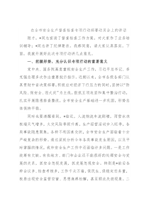 在全市安全生产督查检查专项行动部署动员会上的讲话