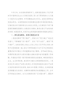 市局党组推动全面从严治党工作情况报告