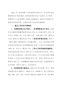 市2022年率先实现农业现代化工作情况报告