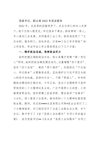 党组书记、副主席2022年述法报告