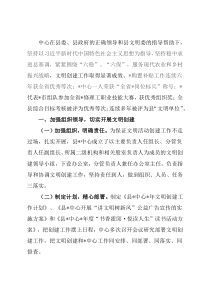 中心文明创建工作总结