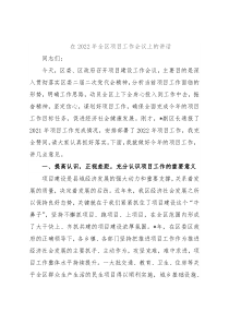 在2022年全区项目工作会议上的讲话