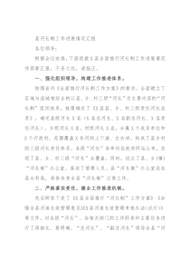 县河长制工作进展情况汇报