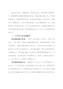 镇2022年上半年工作总结及下半年工作计划